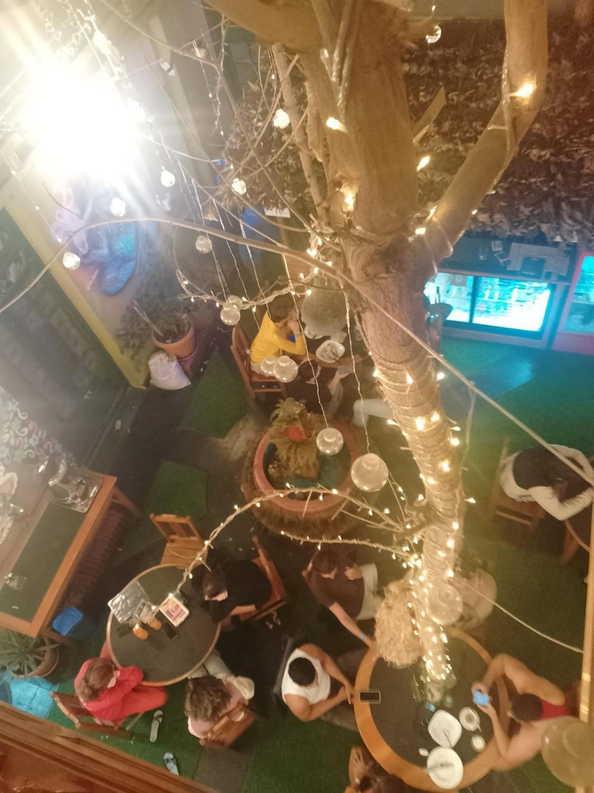 Saint Peter'S Llama Hostal ลาปาซ ภายนอก รูปภาพ
