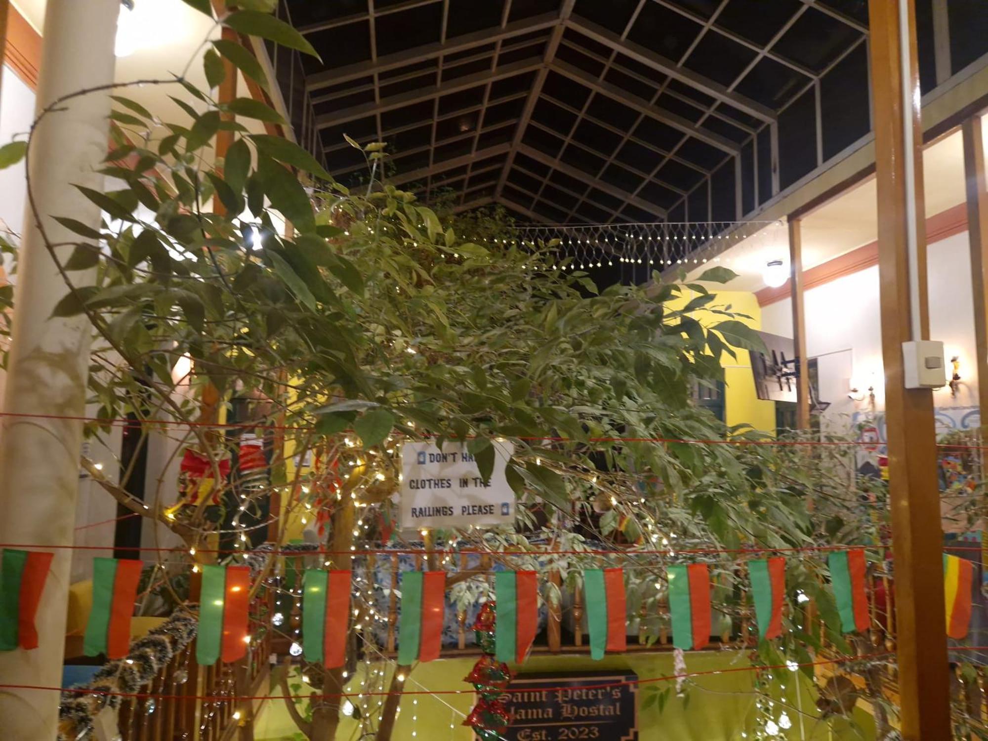 Saint Peter'S Llama Hostal ลาปาซ ภายนอก รูปภาพ